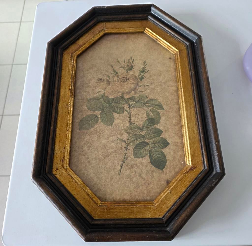 Cadre rose vintage collection., Antiek en Kunst, Kunst | Schilderijen | Klassiek, Ophalen