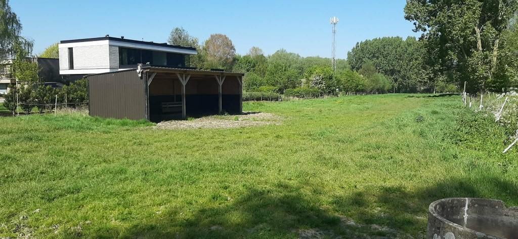 weide te huur Oppem Meise, Dieren en Toebehoren, Stalling en Weidegang, 2 of 3 paarden of pony's