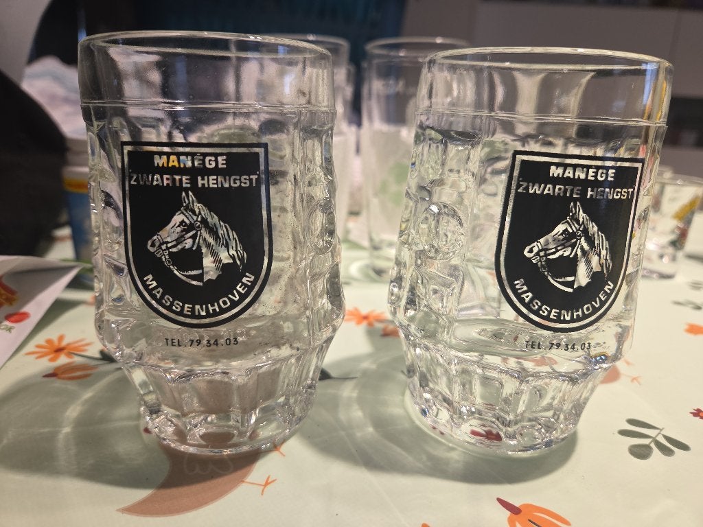 Bier glazen, Verzamelen, Ophalen of Verzenden, Zo goed als nieuw, Bierglas
