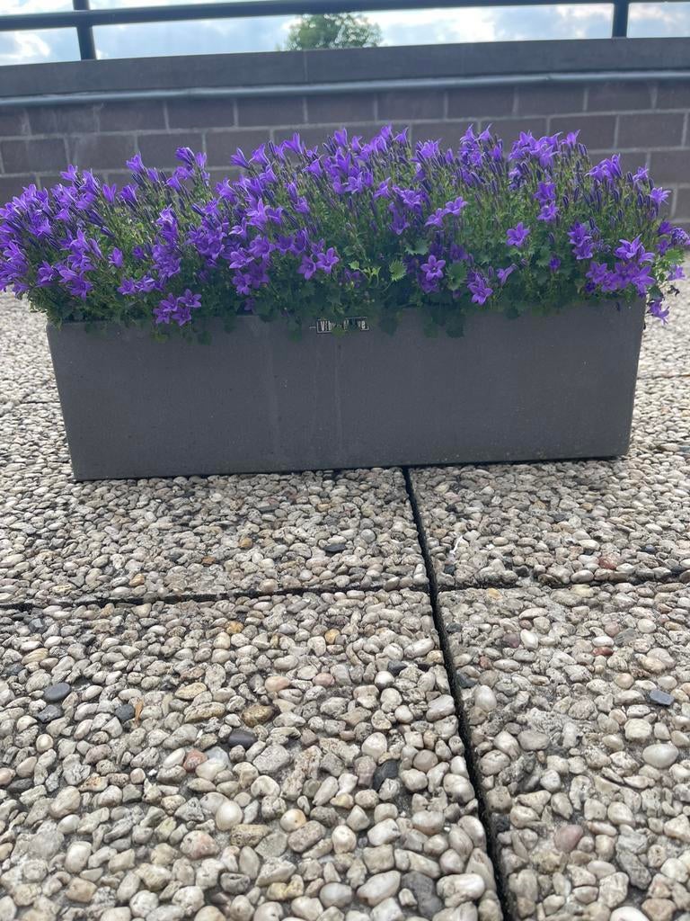 Mooie stenen bloembak met bloemen., Moins de 30 cm, Pierre, Comme neuf, Enlèvement