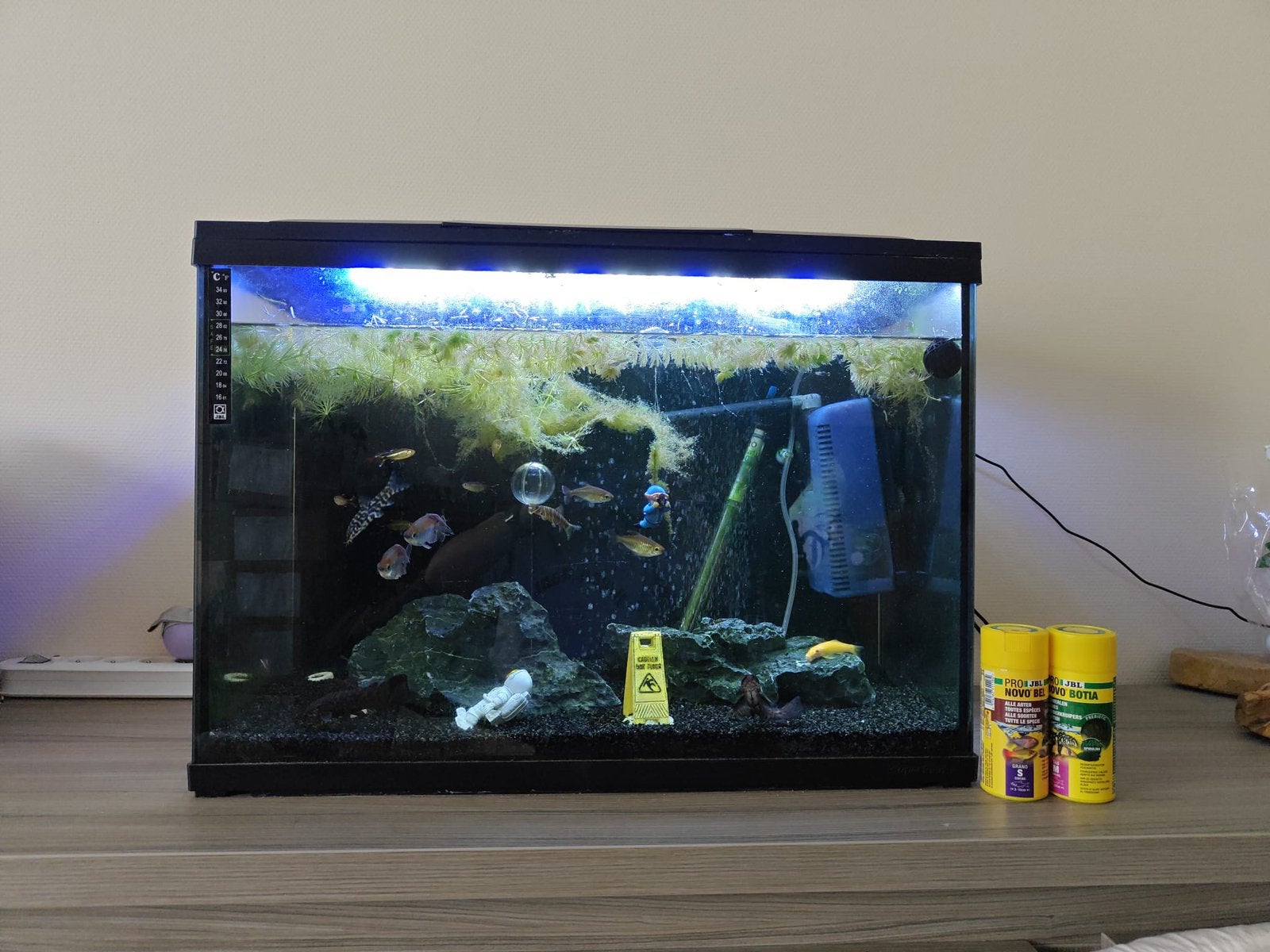 Aquarium à vendre avec contenu, Enlèvement, Comme neuf, Filter