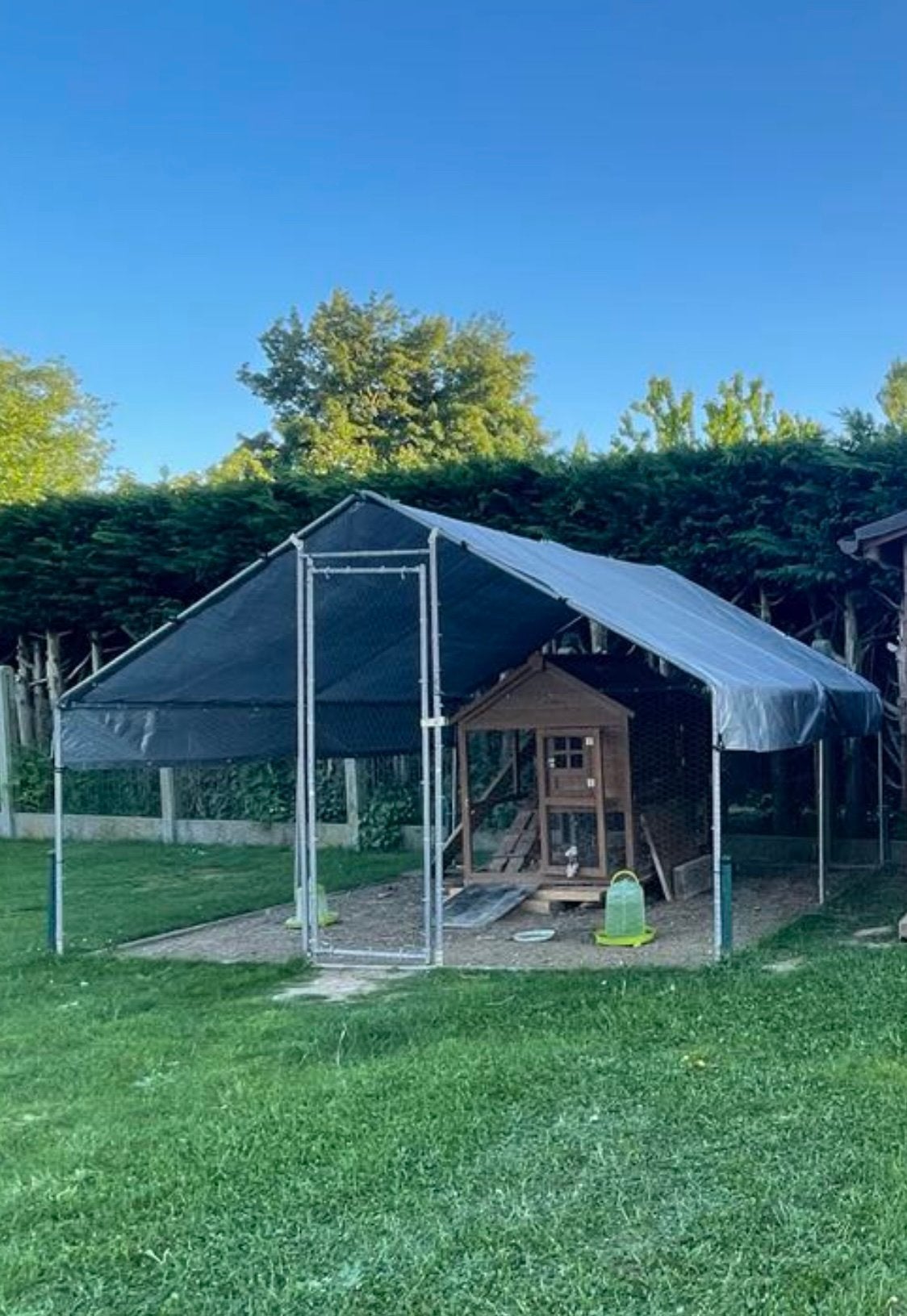 Enclos + Poulailler + 4 Poules, Enlèvement, Comme neuf