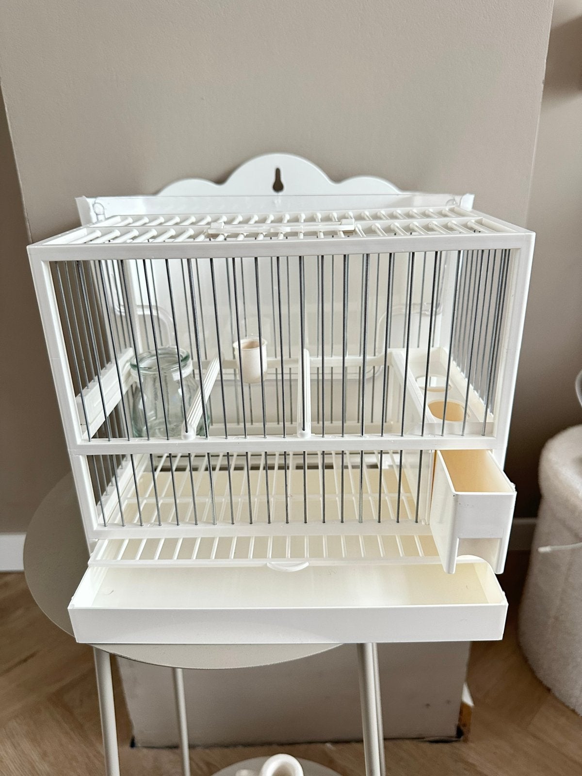 Cages de chants Nouvelles, Oiseau chanteur sauvage