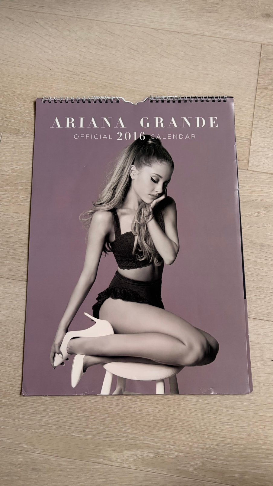 Calendrier 2016 d'Ariana Grande, Enlèvement ou Envoi, Calendrier annuel, Utilisé