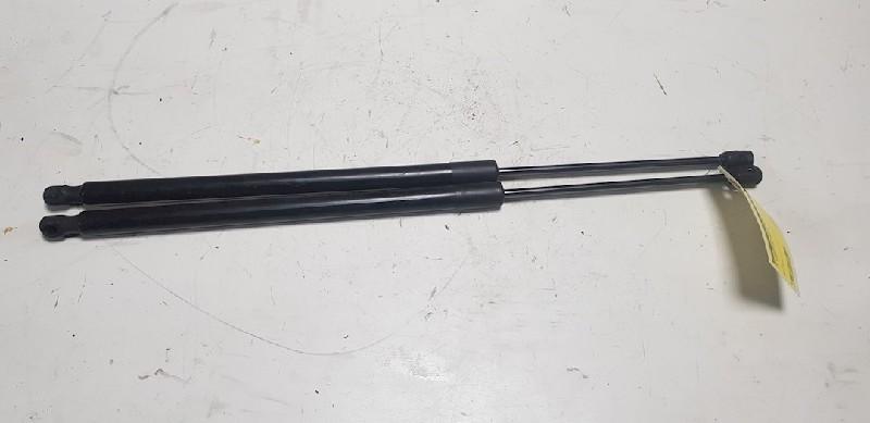 VERIN A GAZ ENSEMBLE ARRIÈRE Tiguan (AD1) (|5NA827550B|), Utilisé, Volkswagen