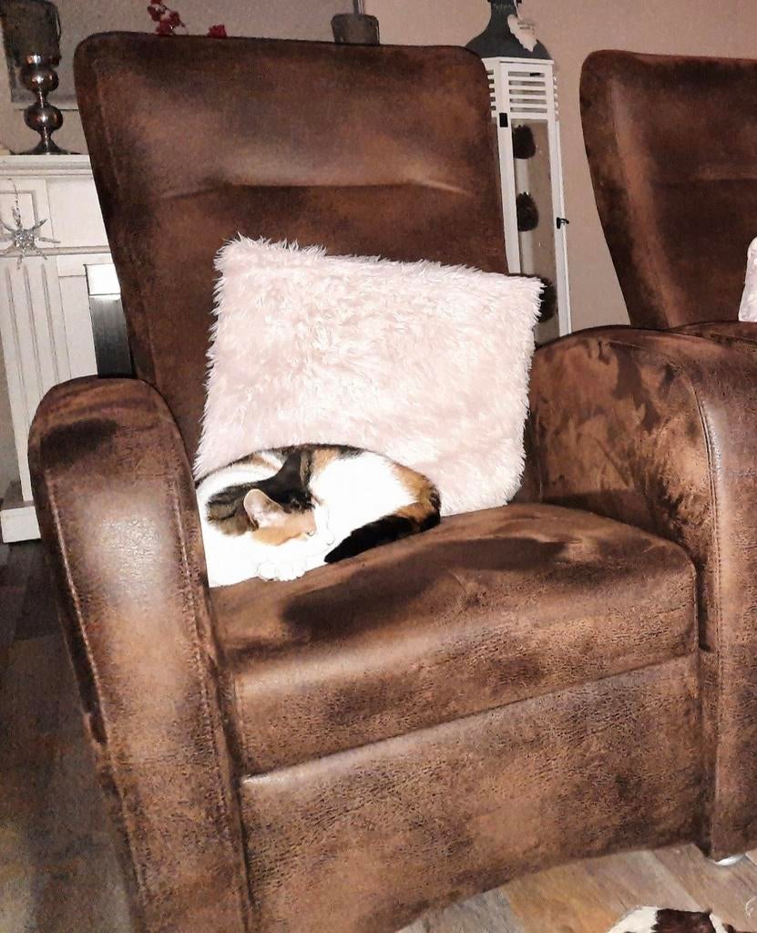 Gratis 2 relaxfauteuils, Huis en Inrichting, Fauteuils, Ophalen