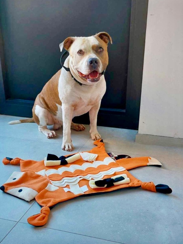 NIEUWE snuffelmat van Jack and Vanilla ~ Vosje, Dieren en Toebehoren, Honden-accessoires, Nieuw, Ophalen of Verzenden
