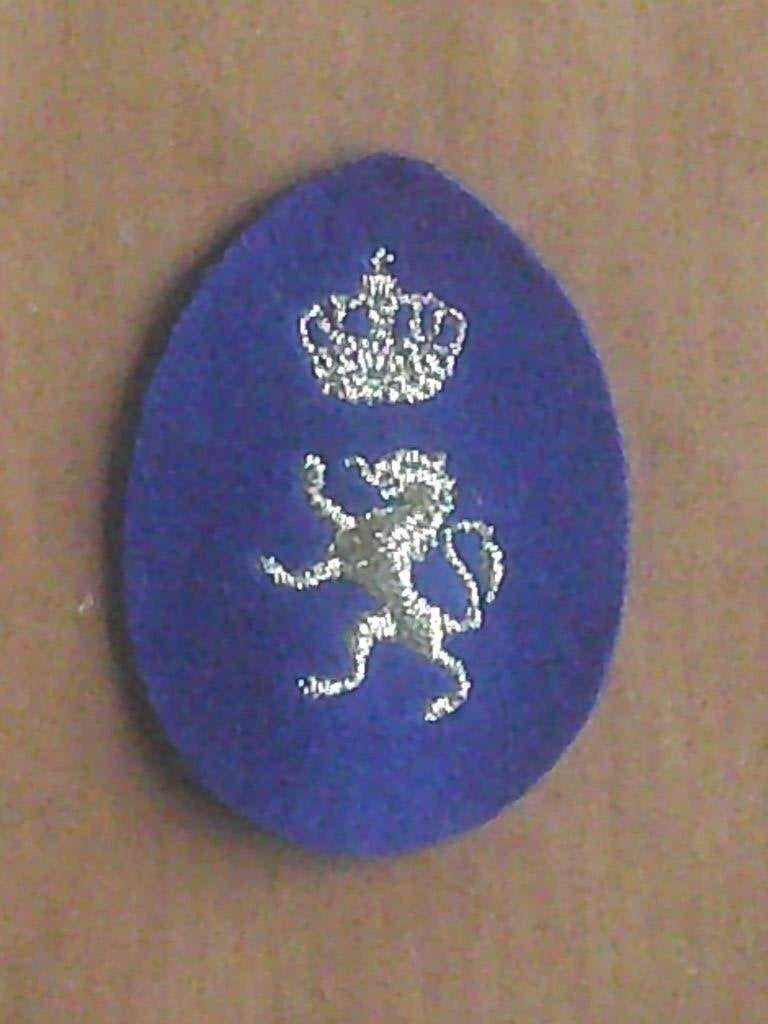 Insigne obsolète de candidat commissaire de police communale, Envoi, Autres, Emblème ou Badge