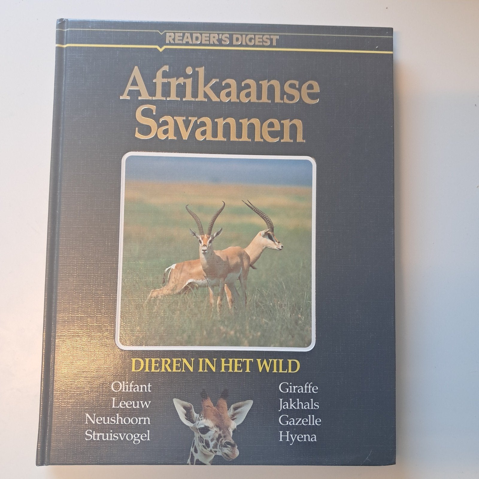dieren uit de afrikaanse savannen, Boeken, Ophalen of Verzenden, Zo goed als nieuw, Natuur algemeen