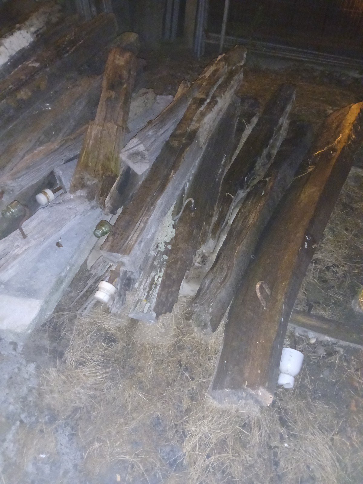 eiken bielzen brandhout, Ophalen