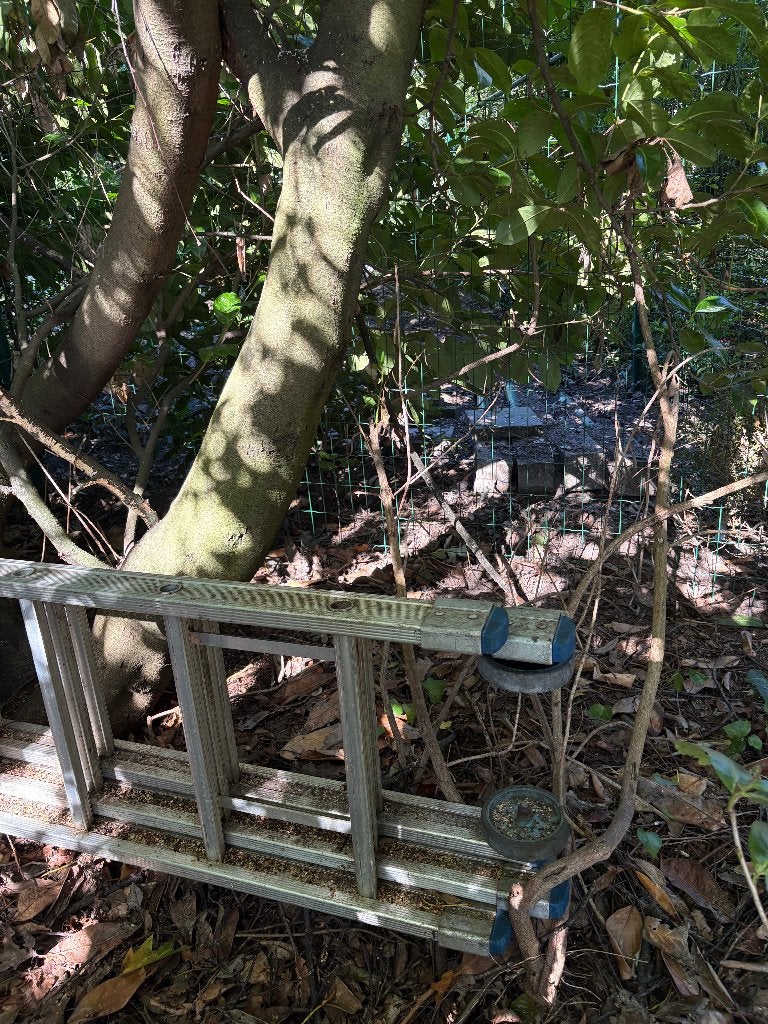 uitschuifbare ladder, Enlèvement, Utilisé