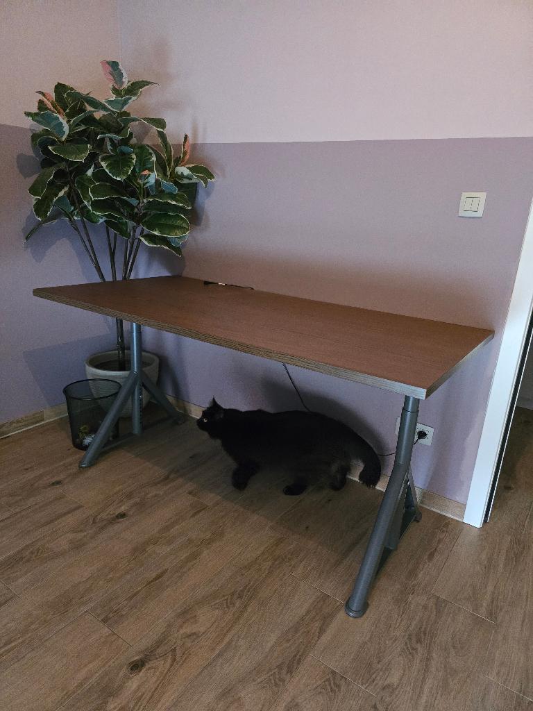 Ikea IDÅSEN bureau 160x80 bruin / grijs, Huis en Inrichting, Ophalen, Overige typen, 160 cm, Bruin