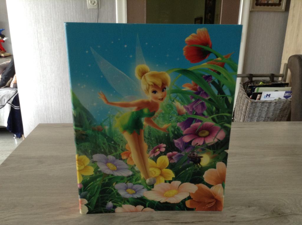 Disney Tinkerbell A4 ringmap, Ophalen of Verzenden, Zo goed als nieuw