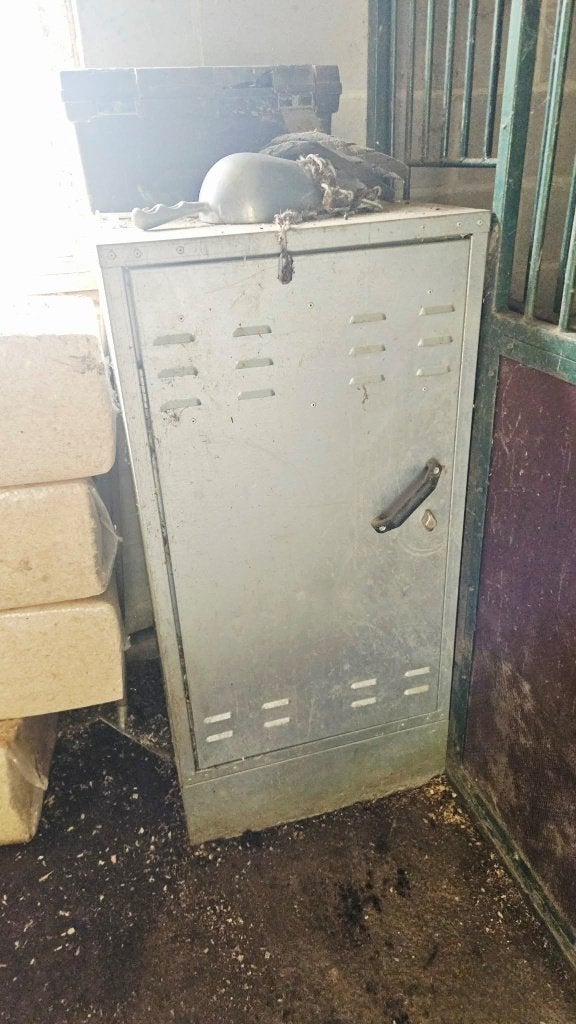 a vendre armoire de transport équitation, Enlèvement, Utilisé, Autres espèces, Autres types