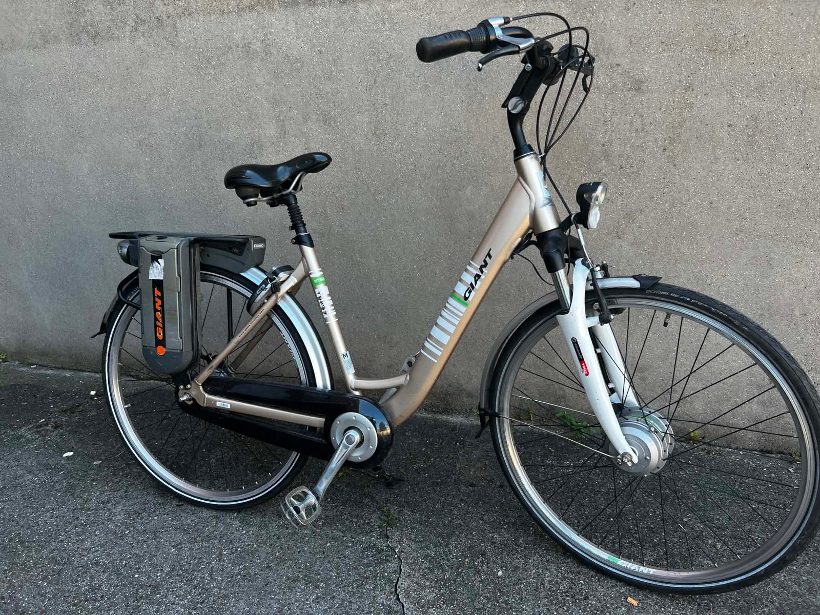 Giant elektrische fiets, Ophalen, Zo goed als nieuw, Giant