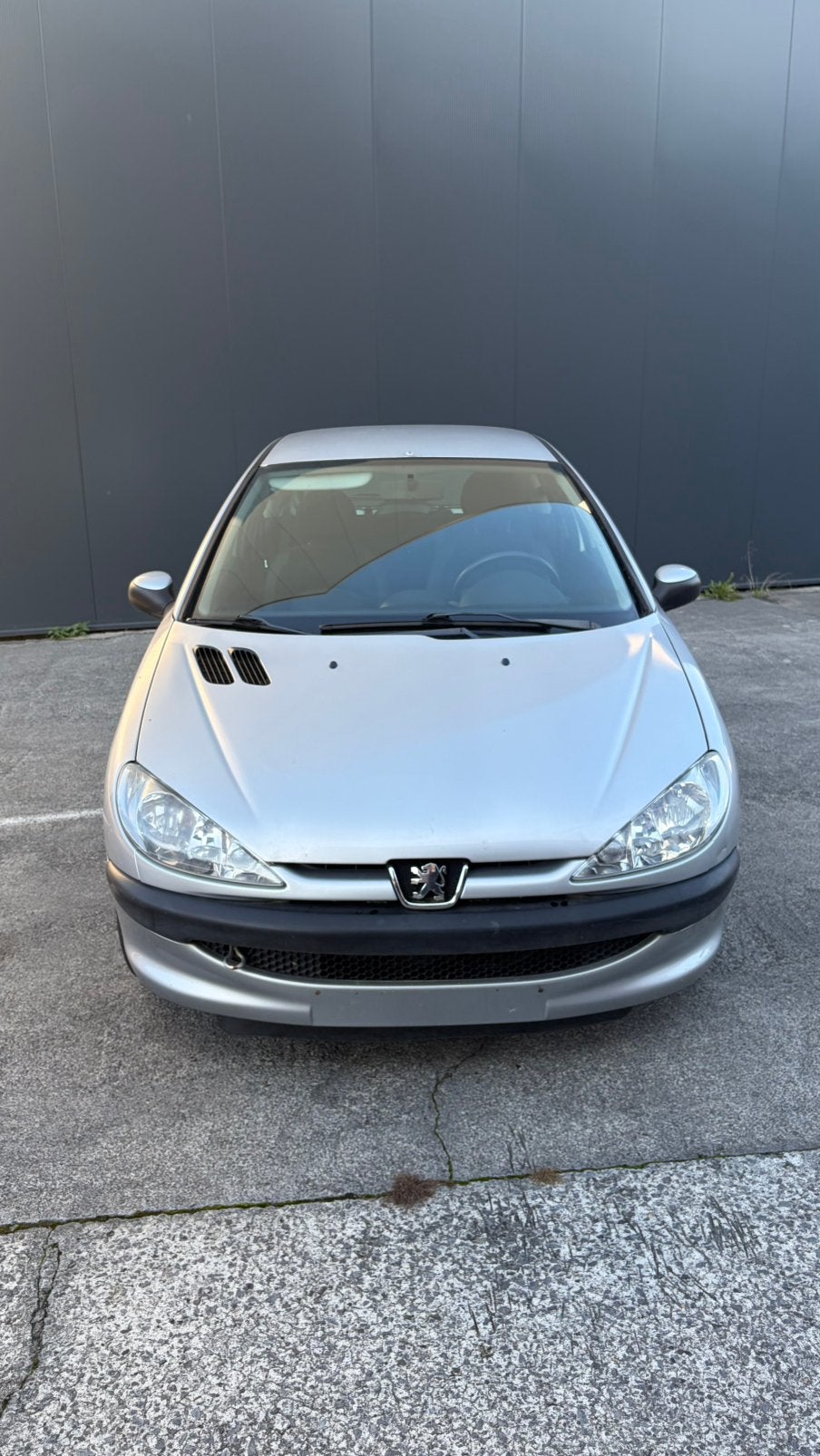 Peugeot 206 1.4 Essence | 2007 | 36 dkm | 3 portes | Testé, Argent ou Gris, Achat, Boîte manuelle, Ordinateur de bord