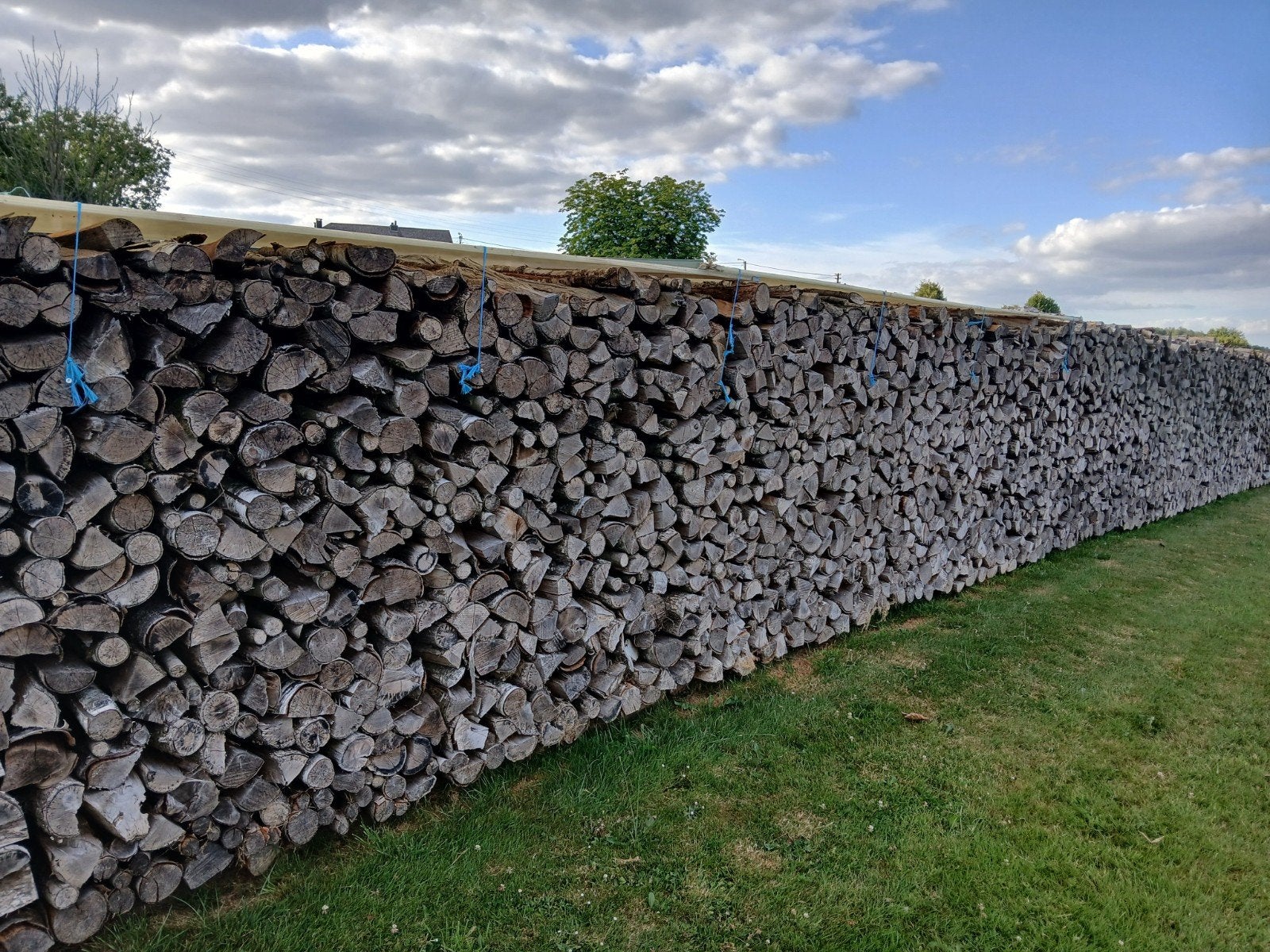 Bois de chauffage, Enlèvement, Chêne