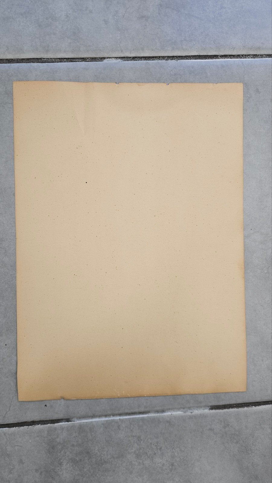 jan korthals prent, Antiek en Kunst, Ophalen of Verzenden