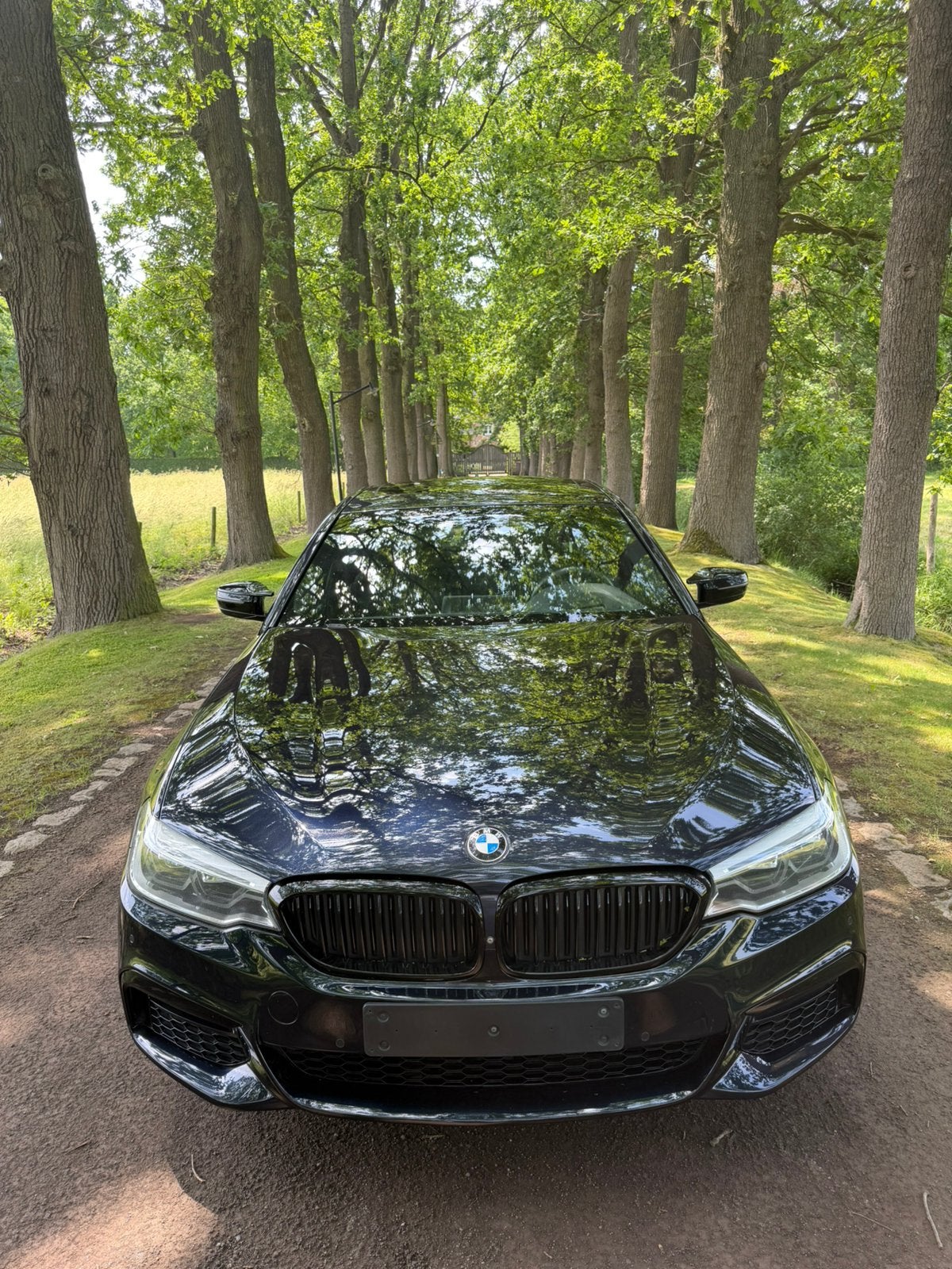 BMW, 1998 cc, Achterwielaandrijving, 4 cilinders, Blauw