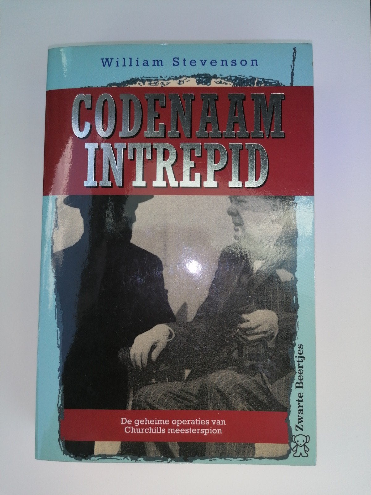 W. Stevenson - Codenaam Intrepid, Ophalen of Verzenden, Gelezen, W. Stevenson