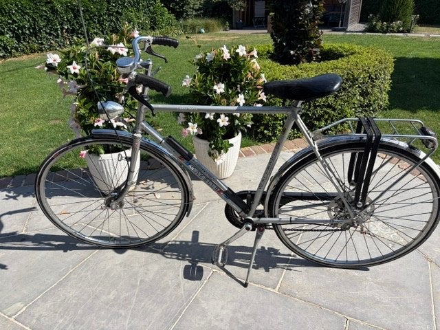 Gazelle Oldi, Ophalen, Gebruikt, Versnellingen, 57 tot 61 cm