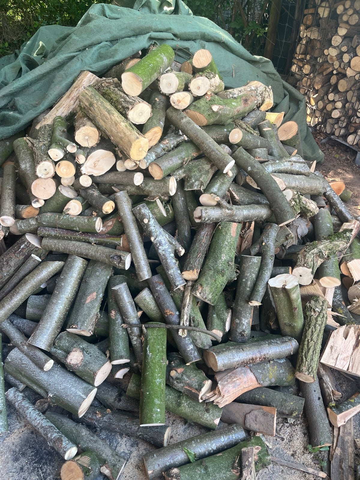 Bois de chauffage hêtre, Enlèvement, Hêtre