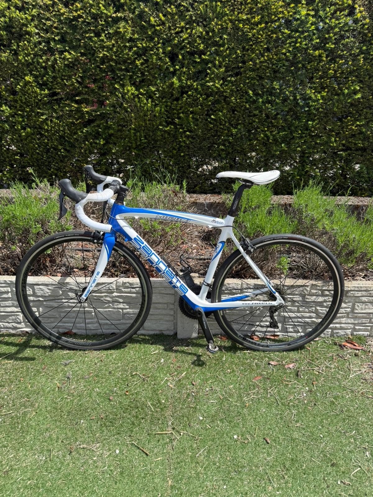 Zannata z81, Fietsen en Brommers, Fietsen | Racefietsen, Ophalen