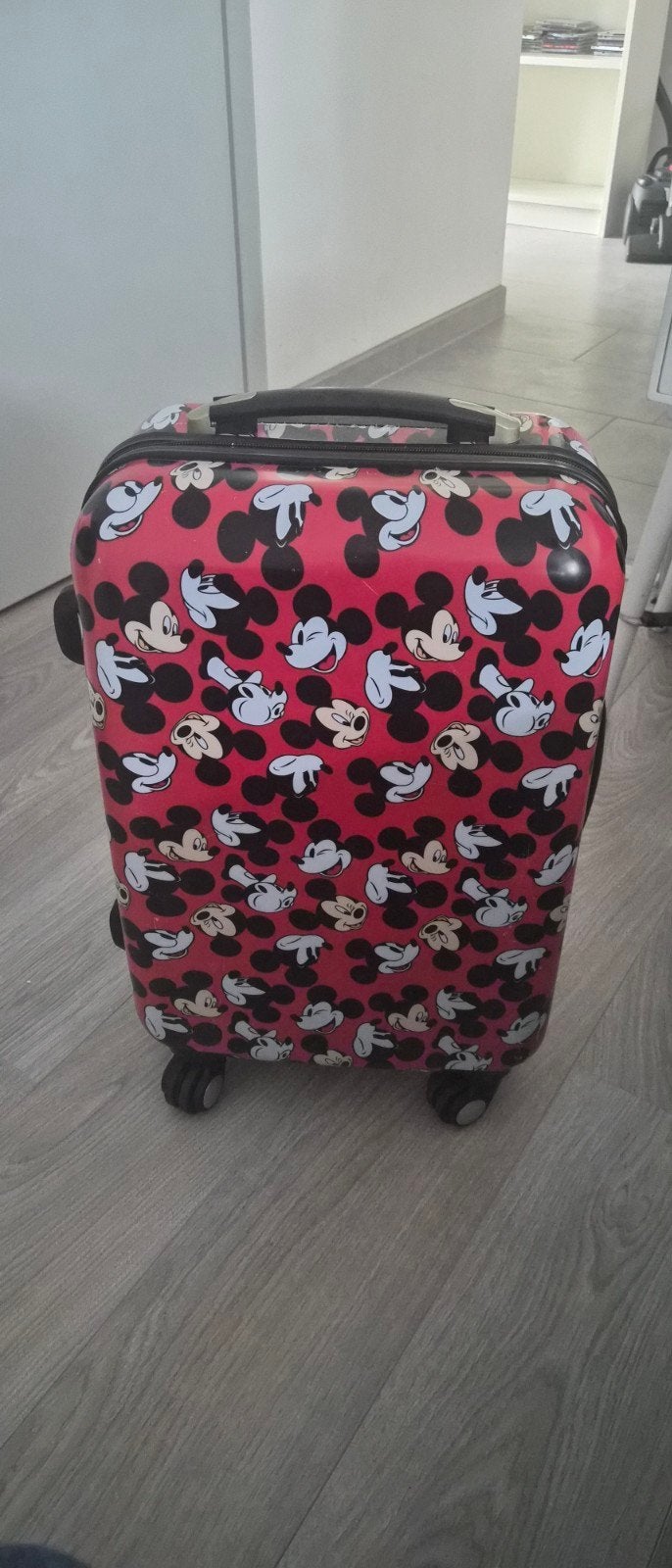 Reis trolly voor handbagage, Ophalen