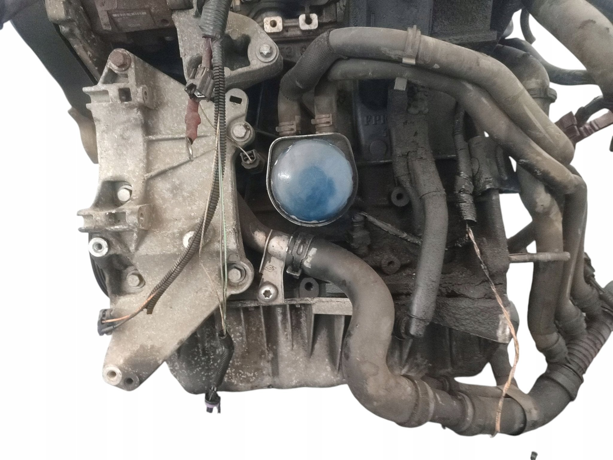 Moteur F9Q803 Complet RENAULT SCENIC, Envoi, Utilisé, Skoda