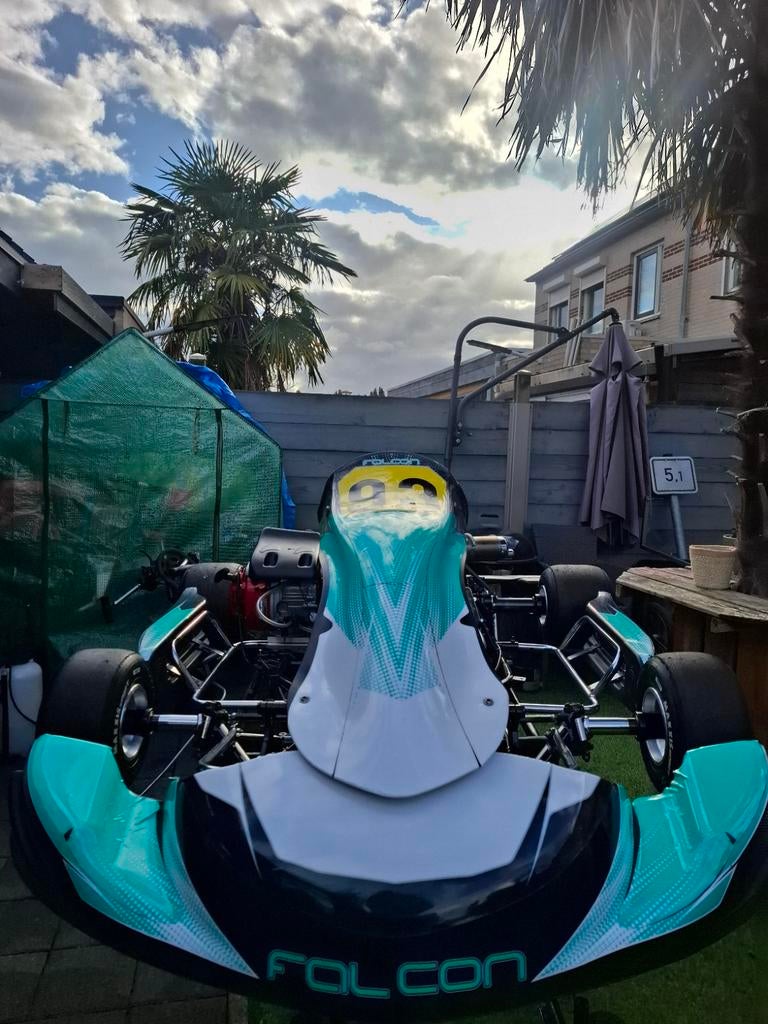 Falcon Kart + Honda 200cc 12PK
Senior frame, Sport en Fitness, Karting, Ophalen, Zo goed als nieuw, Kart