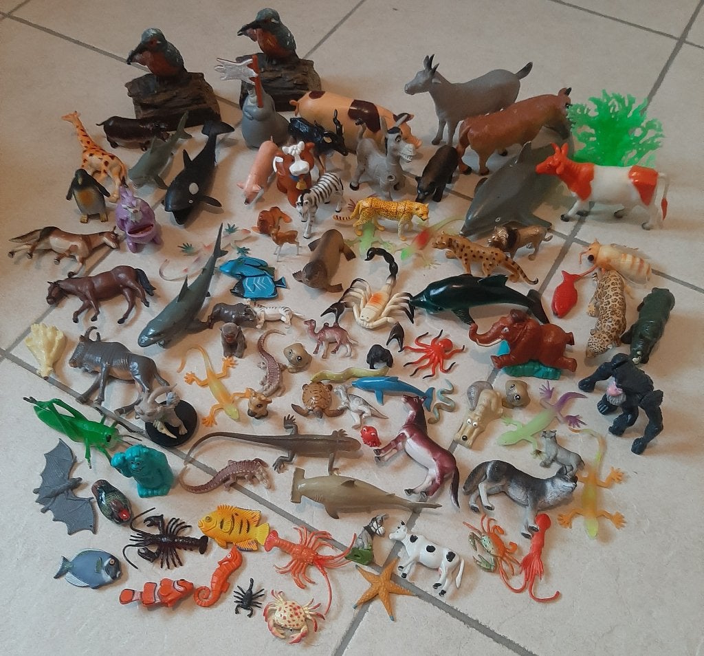 Speelgoed Dieren, Ophalen