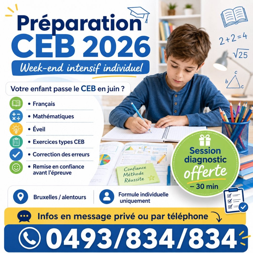 Préparation CEB 2026 – Week-end intensif individuel, Cours particulier, Leçon particulière