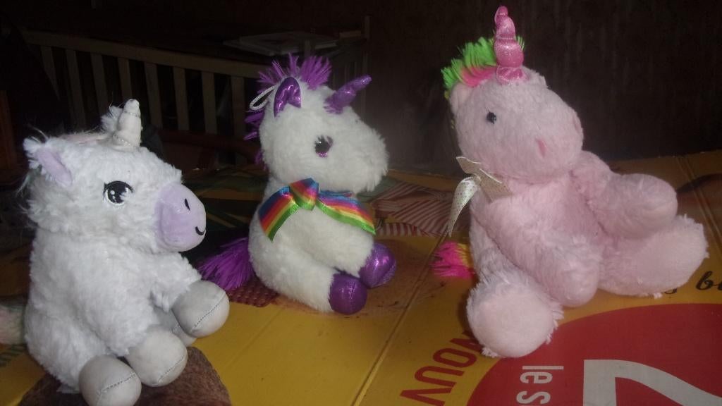 peluches licornes lot de 3, Enlèvement