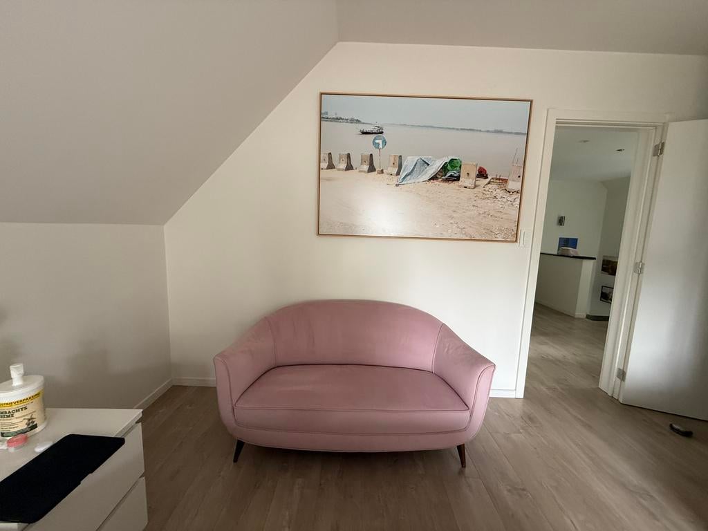 Italian Pink Velvet Sofa 1950s, Ophalen