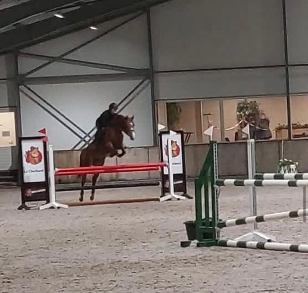 Prachtige D pony te koop, Animaux & Accessoires, Poneys, Jument, M, Poney D (1.37 m à 1.48m), 7 à 10 ans
