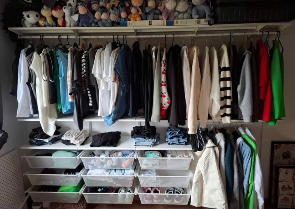 Dressing BOAXEL, Vêtements | Femmes, Portants à vêtements, Enlèvement, Comme neuf