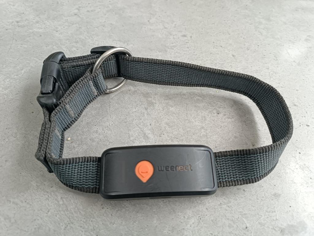 GPS tracker voor honden - Weenect XT, Dieren en Toebehoren, Ophalen, Gebruikt