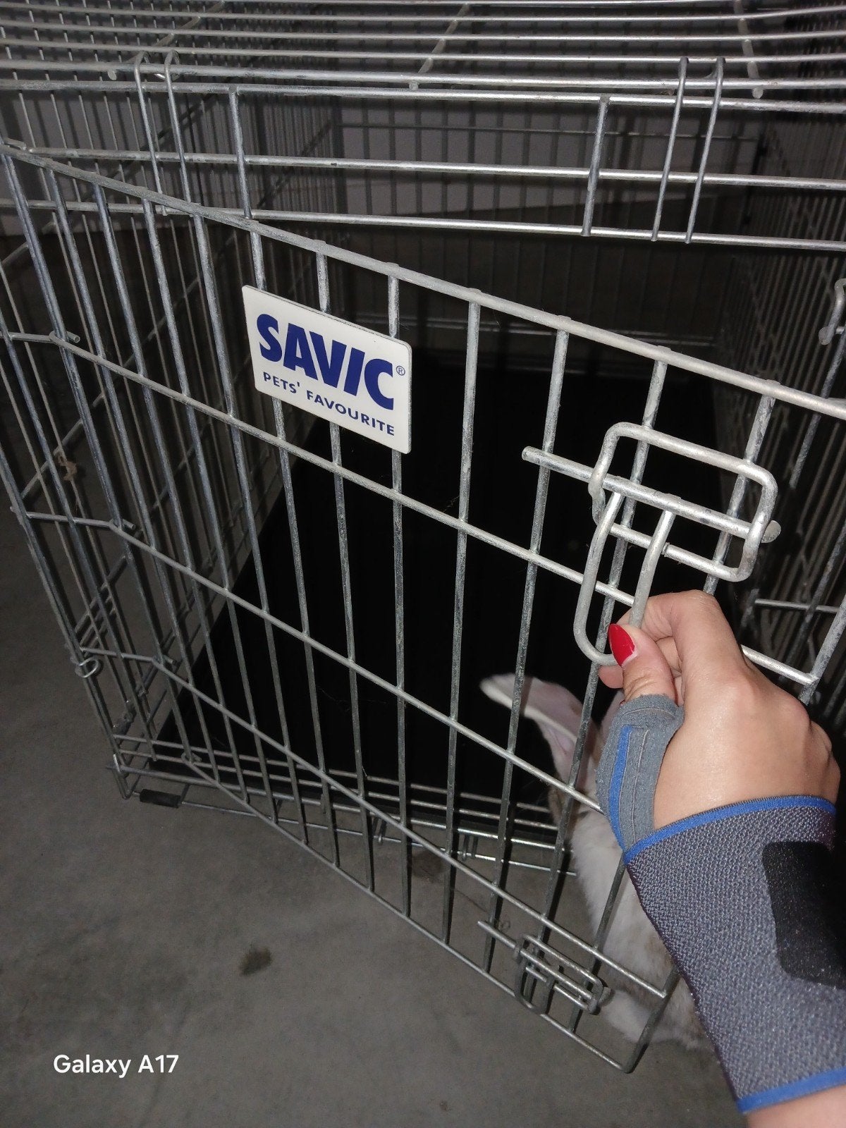 Cage pour chien SAVIC, Enlèvement