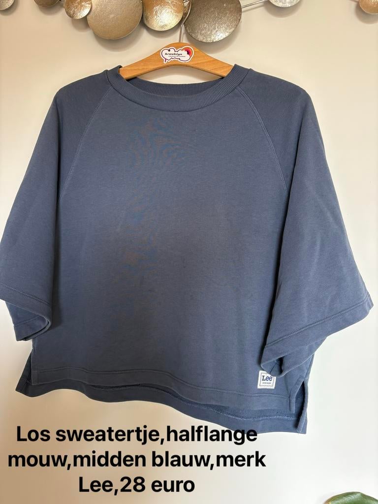 Sweater merk Lee, Kleding | Dames, Truien en Vesten, Ophalen, Zo goed als nieuw, Blauw