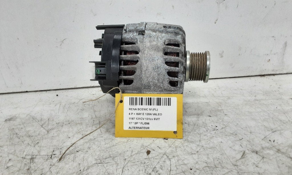DYNAMO Renault Scénic IV (RFAJ) (2619146A), Gebruikt, Renault, Mevr. I. Hauben, Rue de l'Espoir 34 34
4030  GRIVEGNÉE, BE