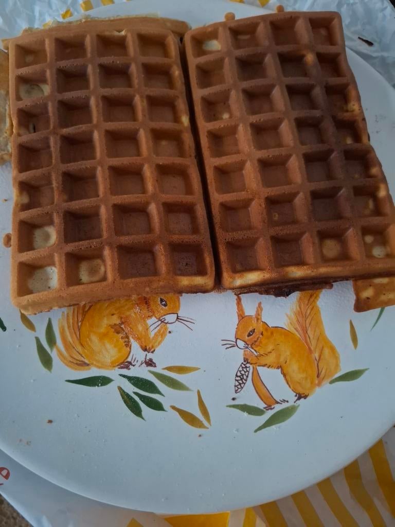 Zelfgebakken wafels met bourbon suiker en eitjes vd kippen, Ophalen
