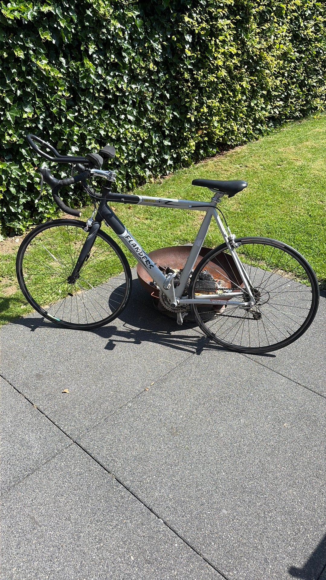 Velo de course - Waterloo, 28 inch, Gebruikt, Velgrem, 57 tot 61 cm