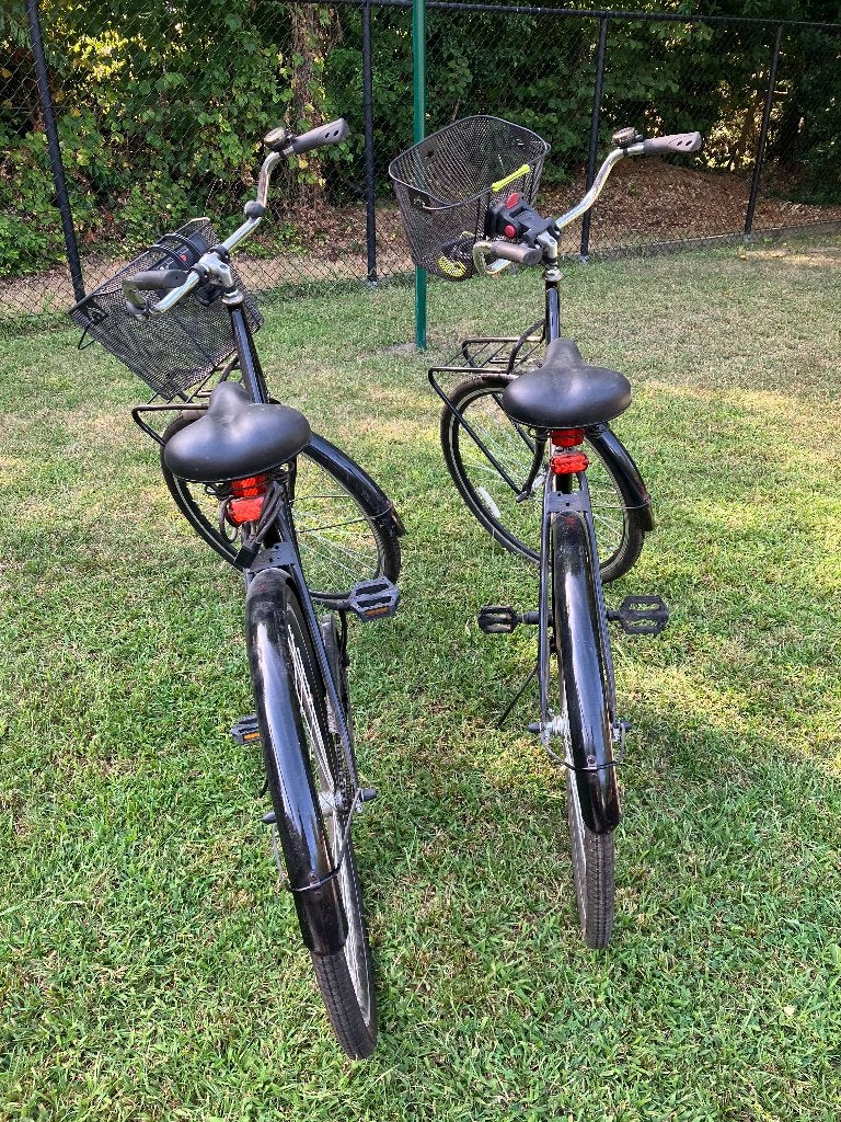 Fietsen, Fietsen en Brommers, Fietsen | Dames | Damesfietsen, Terugtraprem, 56 cm of meer, Zo goed als nieuw, Ophalen