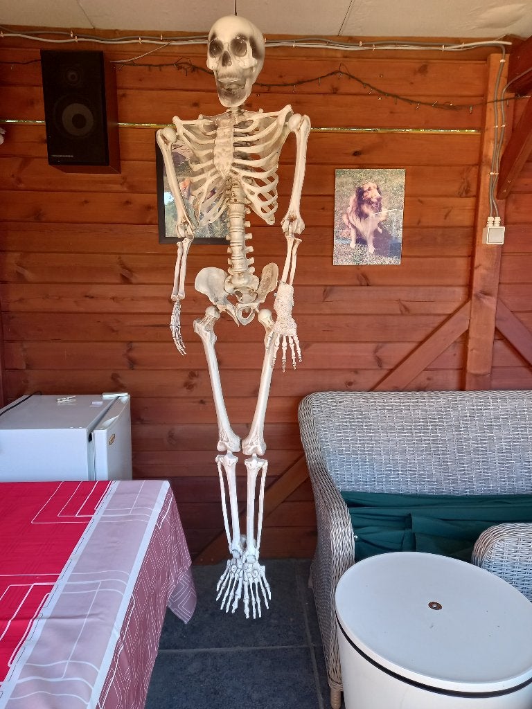 2 skeletten, Ophalen, Gebruikt
