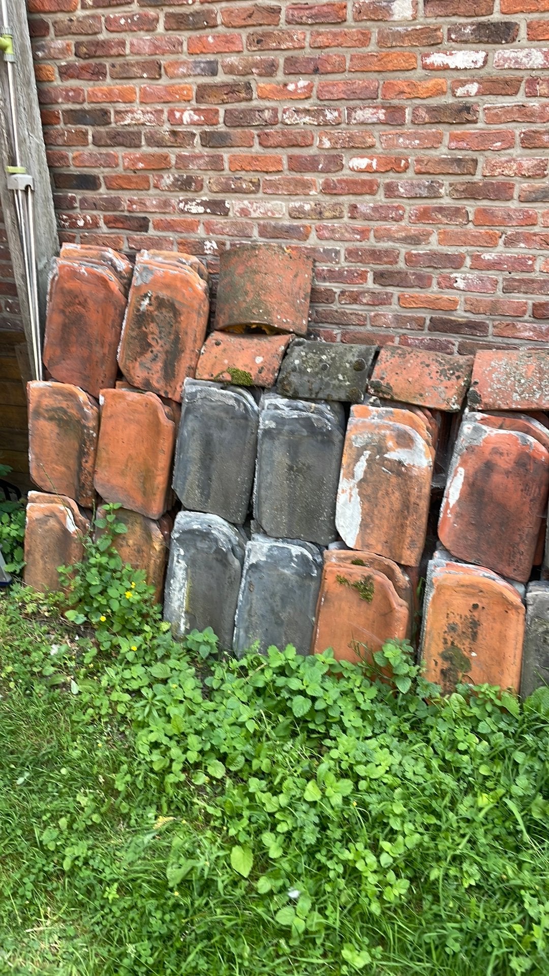 Boomse pannen, Bricolage & Construction, Enlèvement