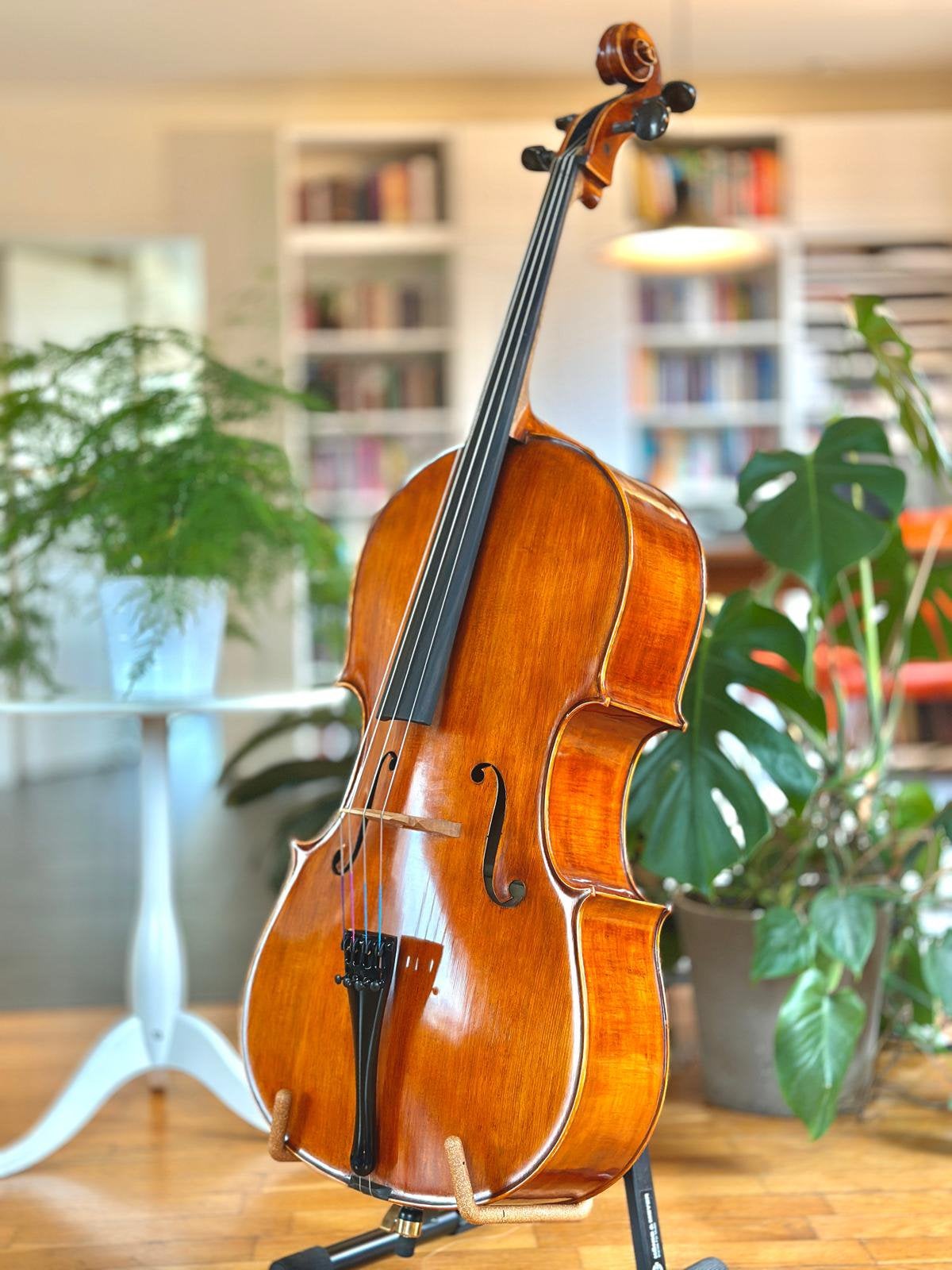 Handgemaakte Bulgaarse 4/4 cello - Nieuw, Musique & Instruments, Enlèvement, Neuf, Violoncelle 4/4, Avec valise