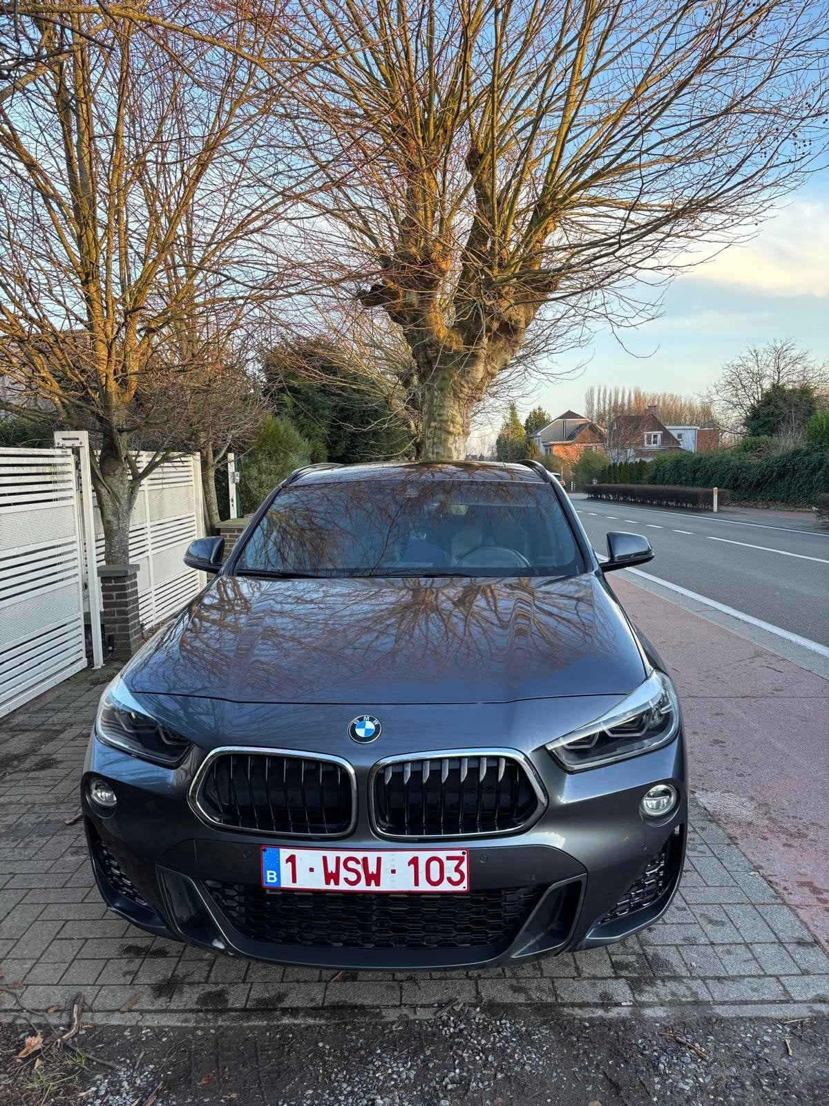 Bmw x2 M-pakket 2.0isdrive, Auto's, Automaat, X2, Leder, Dealer onderhouden