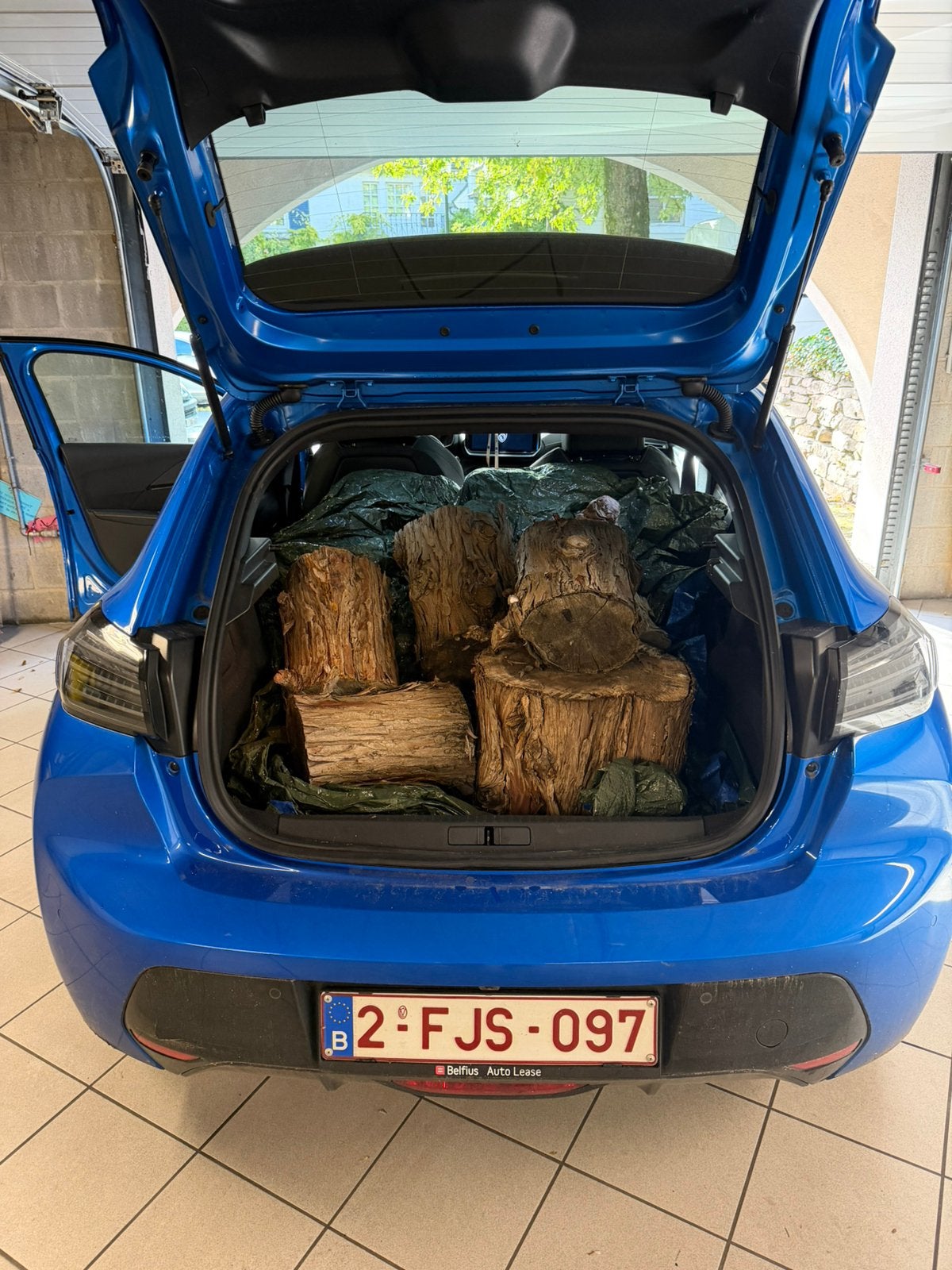 Divers troncs d’arbre, Moins de 3 m³, Enlèvement, Troncs d'arbres
