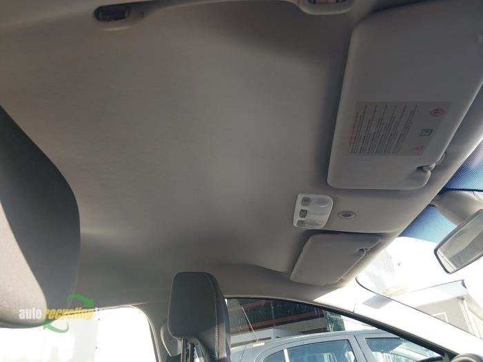 Hemelbekleding van een Renault Megane, Gebruikt, -, Renault, -