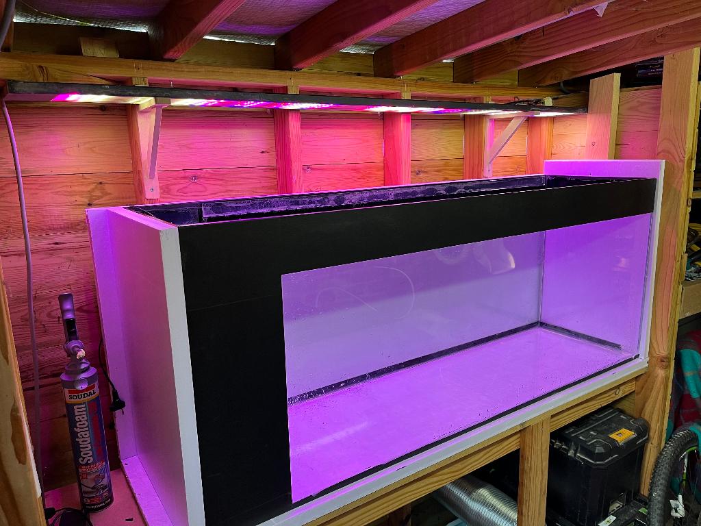 Éclairage aquarium, Animaux & Accessoires, Enlèvement